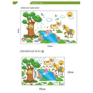 Decan đán tường đo chiều cao,cây
