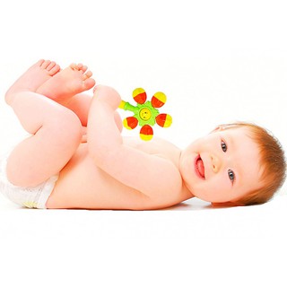 Xúc Xắc Trái Cây Antona AX18 - Khế