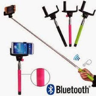 Gậy chụp hình bleutooth nút bấm trên cây