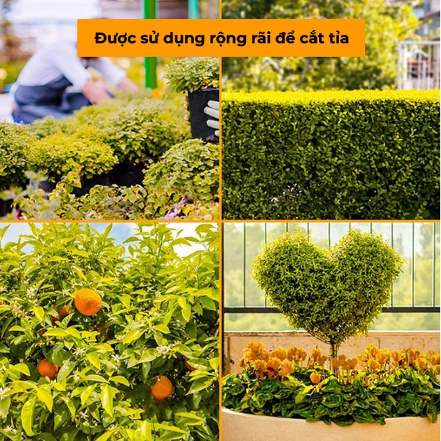 Kéo cắt tỉa cây cảnh, hàng rào, làm vườn INGCO HPS0201 8&quot;(200mm)