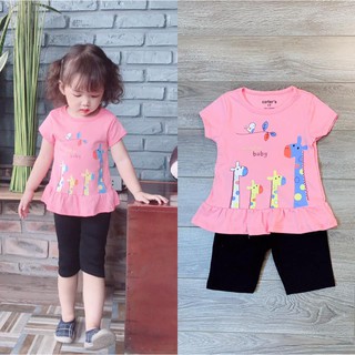 Bộ borip bg 1-8