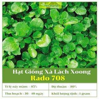 Hạt Giống Xà Lách Xoong Rado 704 Năng Suất Cao, Chất Lượng Tôt, Dễ Trồng Và Chăm Sóc [1 gram]