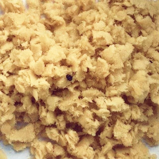 Trứng ruồi lính đen gói 10g - Tỉ lệ nở > 95% [Tặng kèm tài liệu kỹ thuật nuôi từ A-Z]