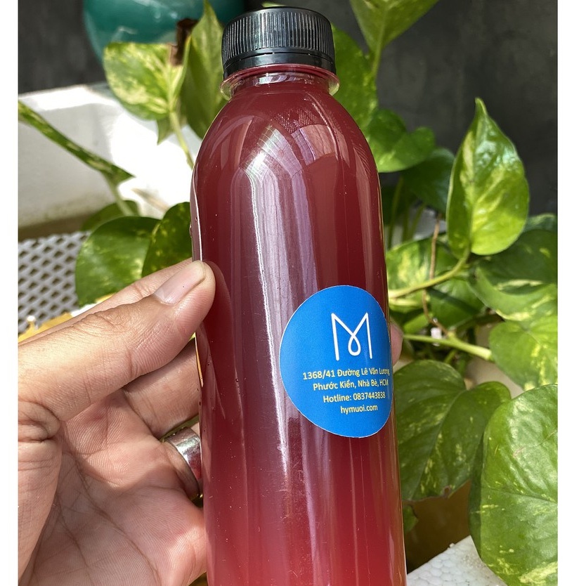 1lít Vi khuẩn quang hợp PSB thiết lập hệ vi sinh có lợi cho cá - M