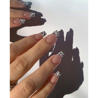 Nailbox fen đầu móng ngựa vằn