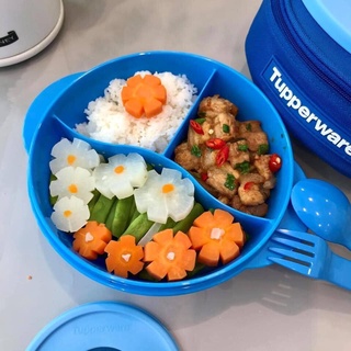Bộ Hộp Cơm Chia Ngăn Crystalwave Lunch Set