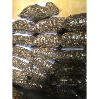 1 kg TRÀ SƠN MẬT - HỒNG SÂM SA PA