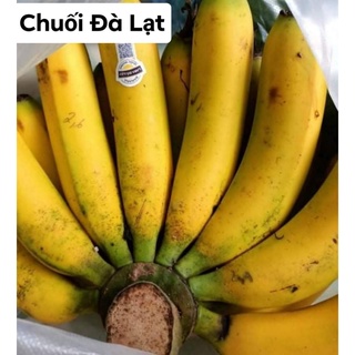 Giao HCM Hỏa tốc ăn vặt Chuối Đà Lạt Ngon Sạch 1kg -> 1.2kg