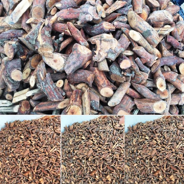 01 Kg cây MÚ TỪN- CÙ BOONG NẬU