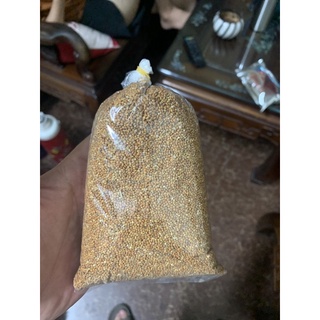 Hạt kê( thức ăn cho chim cảnh ( cu gáy, yến)