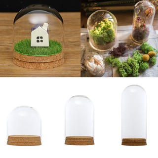 1 Lọ thủy tinh trong suốt với đế gỗ dùng trưng bày 