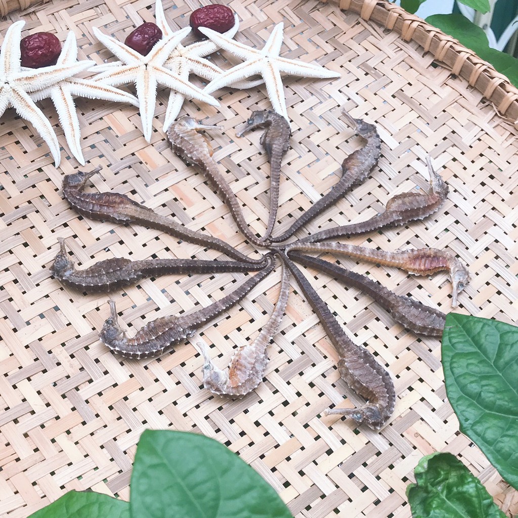 1 cặp cá ngựa 8-10cm | BigBuy360 - bigbuy360.vn