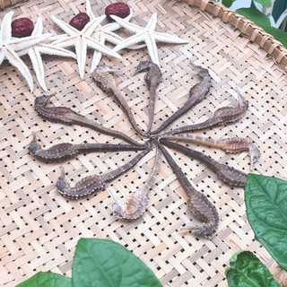 1 cặp cá ngựa 8-10cm