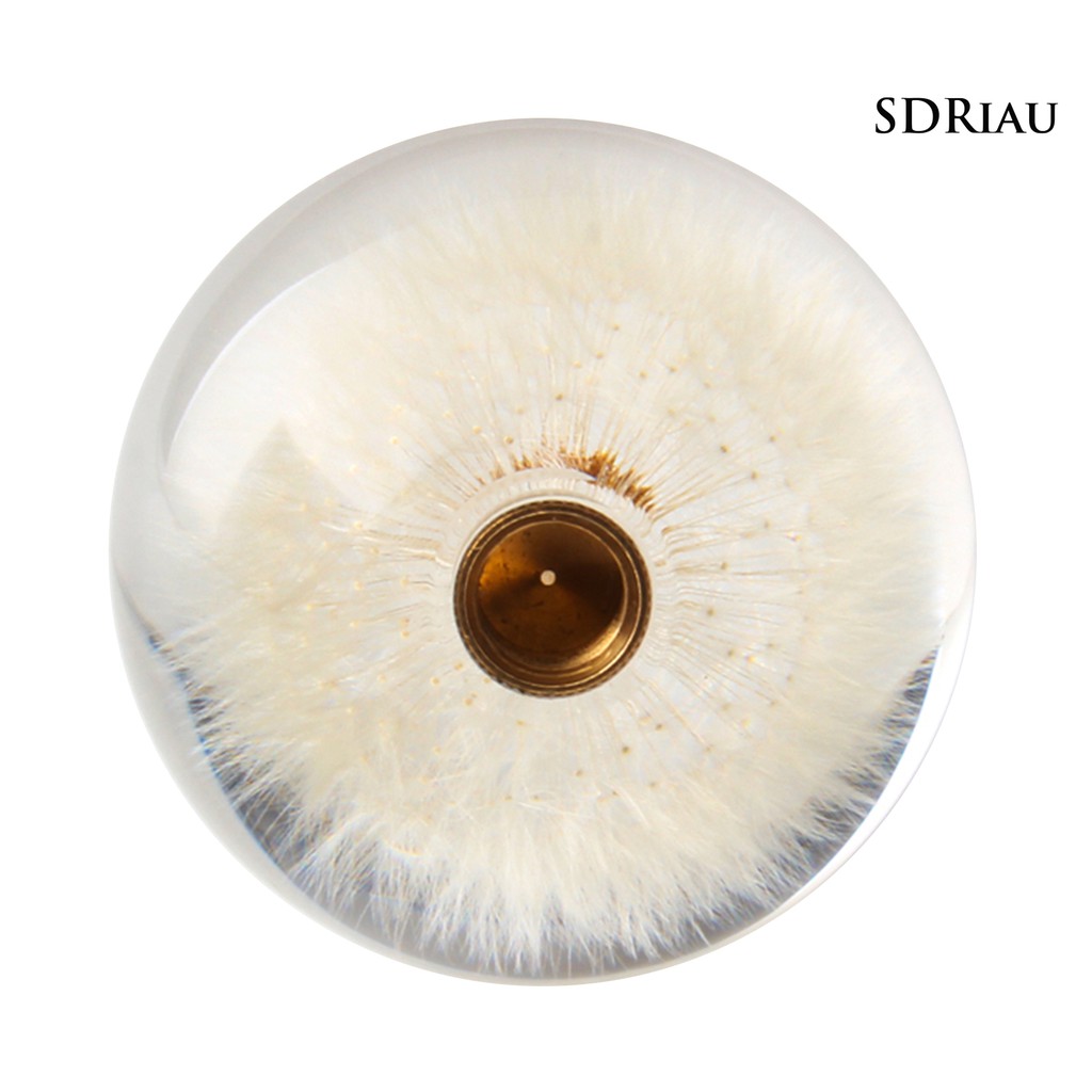 Tay Nắm Cần Số Xe Hơi Hình Hoa Bồ Công Anh Độc Đáo