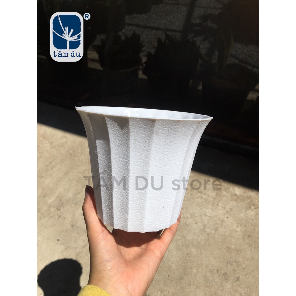 Chậu tròn loe nhựa trắng nhỏ 150x115mm