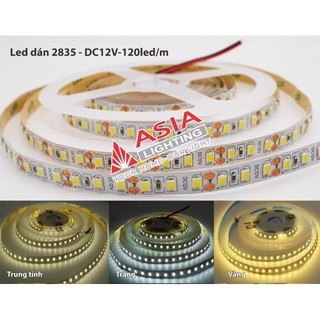 Led dây dán siêu dính cao cấp Asia 2835-DC-12V siêu sáng- hàng công tyCông suất 12W/m, 18W/m