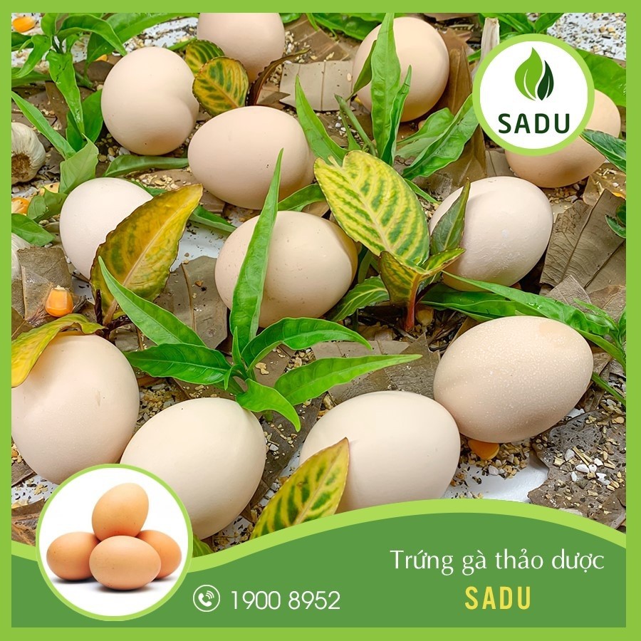 Trứng Gà Sadu - [CHÍNH HÃNG] - Thơm ngon bổ dưỡng | BigBuy360 - bigbuy360.vn