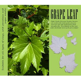 Grape Leaf - Khuôn vân nhựa dẻo hoa đất lấy vân 2 mặt