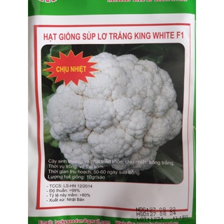 Hạt giống suplo trắng king white -  Rau củ quả trồng tại vườn, sân thượng, nông trang, ban công