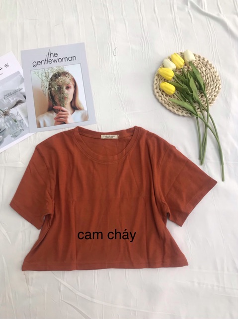 Áo croptop trơn cổ tròn