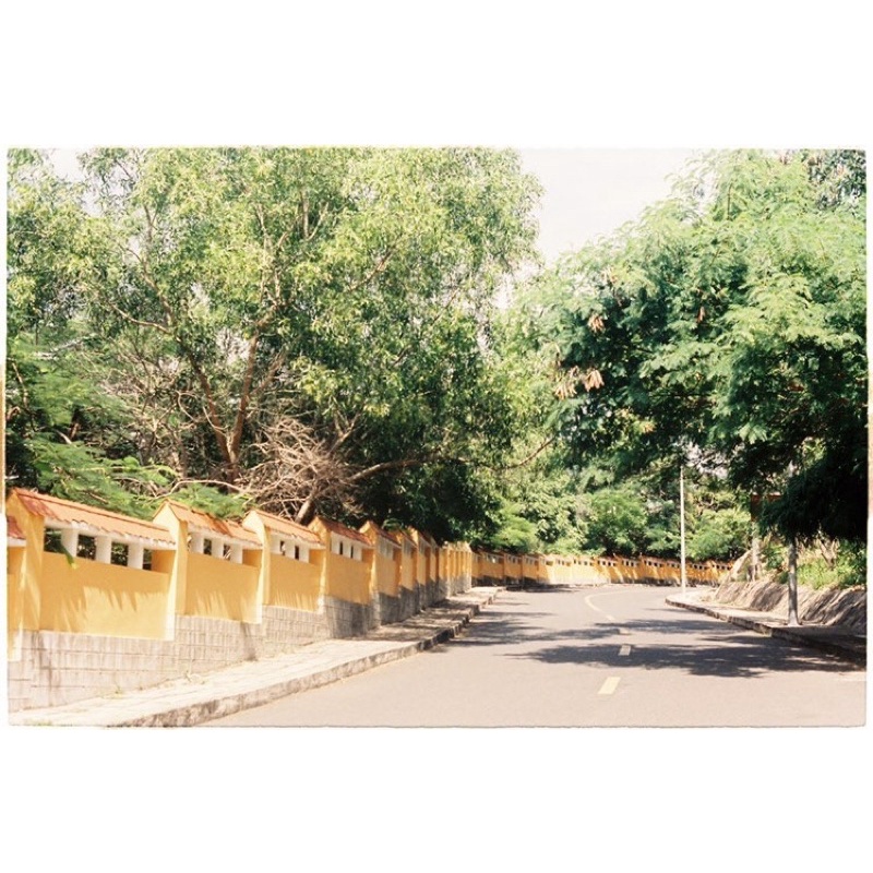 - Film 135  giá rẻ, 24 kiểu, hàng US