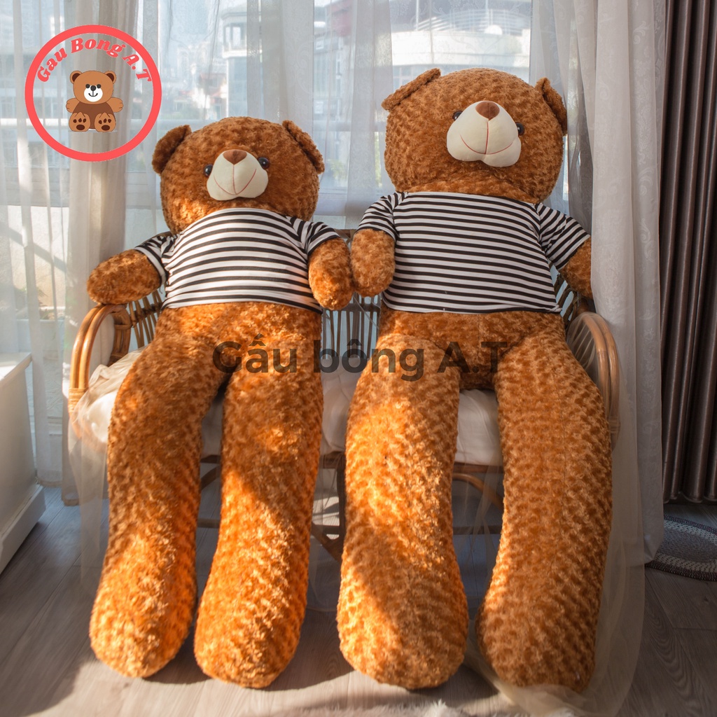 Gấu Bông Teddy Khổng Lồ - Thú Nhồi Bông Teddy Siêu To Màu Nâu Khói, Nâu Cafe, Vàng Cam _ size 95cm - 1m8