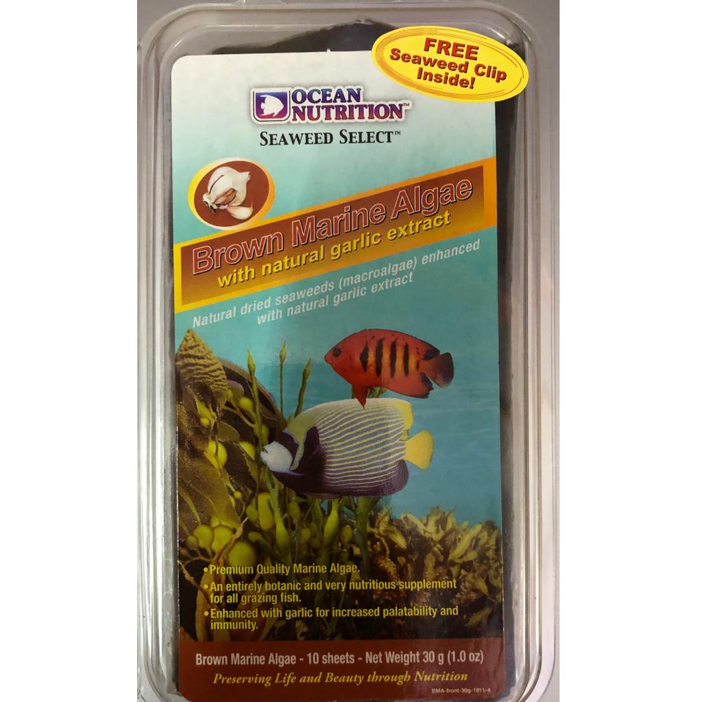 THỨC ĂN RONG BIỂN NÂU CHO CÁ CẢNH NƯỚC MẶN ĂN TẢO - BROWN MARINE ALGAE OCEAN NUTRITION 20G (TẶNG KÈM KẸP RONG BIỂN)
