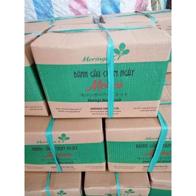 Bánh Gấu Vỏ Cafe Nhân Kem Socola Hiệu Moringa Lon 300gr