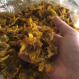 100gam TRÀ HOA VÀNG RỪNG KHÔ
