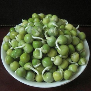 HẠT GIỐNG RAU MẦM ĐẬU HÀ LAN 20G