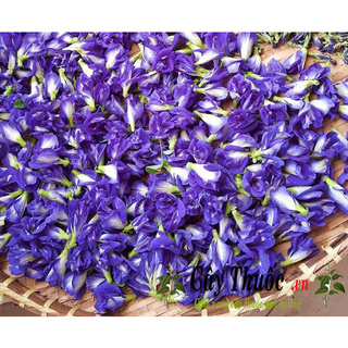 Hoa Đậu Biếc Khô 10g