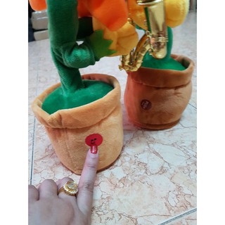 Hoa thổi kèn