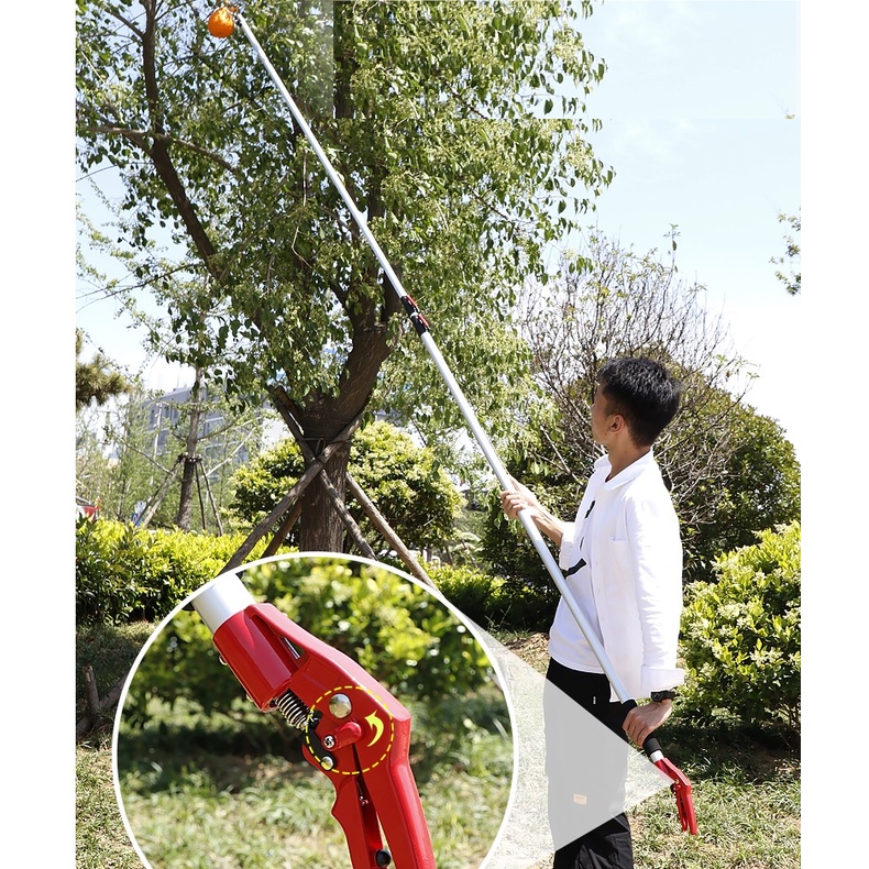 Kéo cắt cành trên cao 5m Nhật Bản
