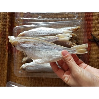 1kg CÁ ĐÙ khô loại to