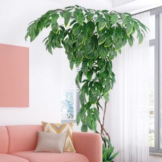 Cành lá kim tứ làm cây cổ thụ