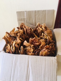 1kg Măng khô sạch tự luộc,phơi