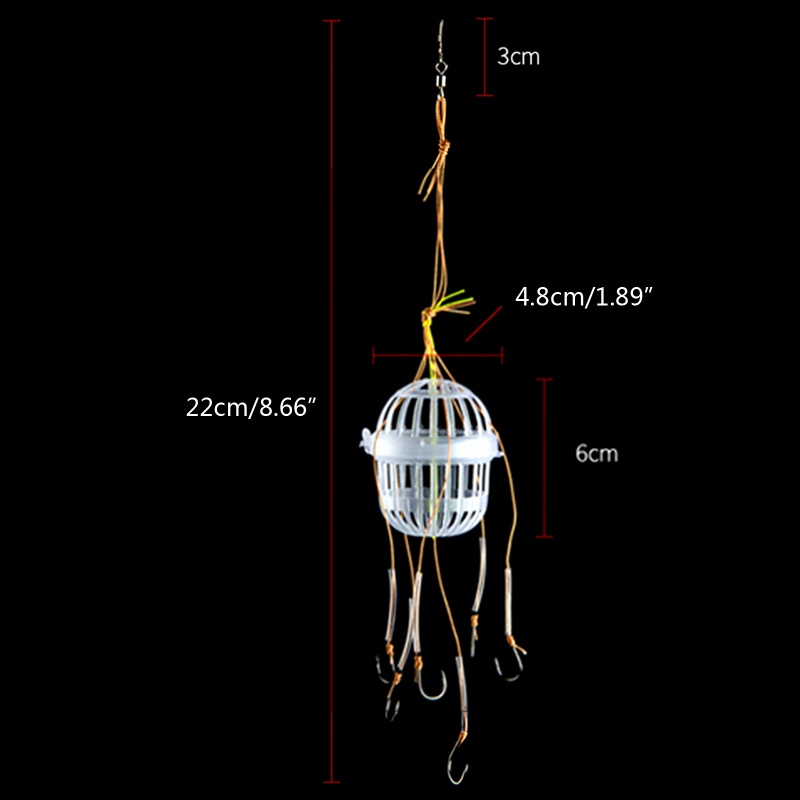 Hộp Đựng Lưỡi Câu Cá Tiện Lợi