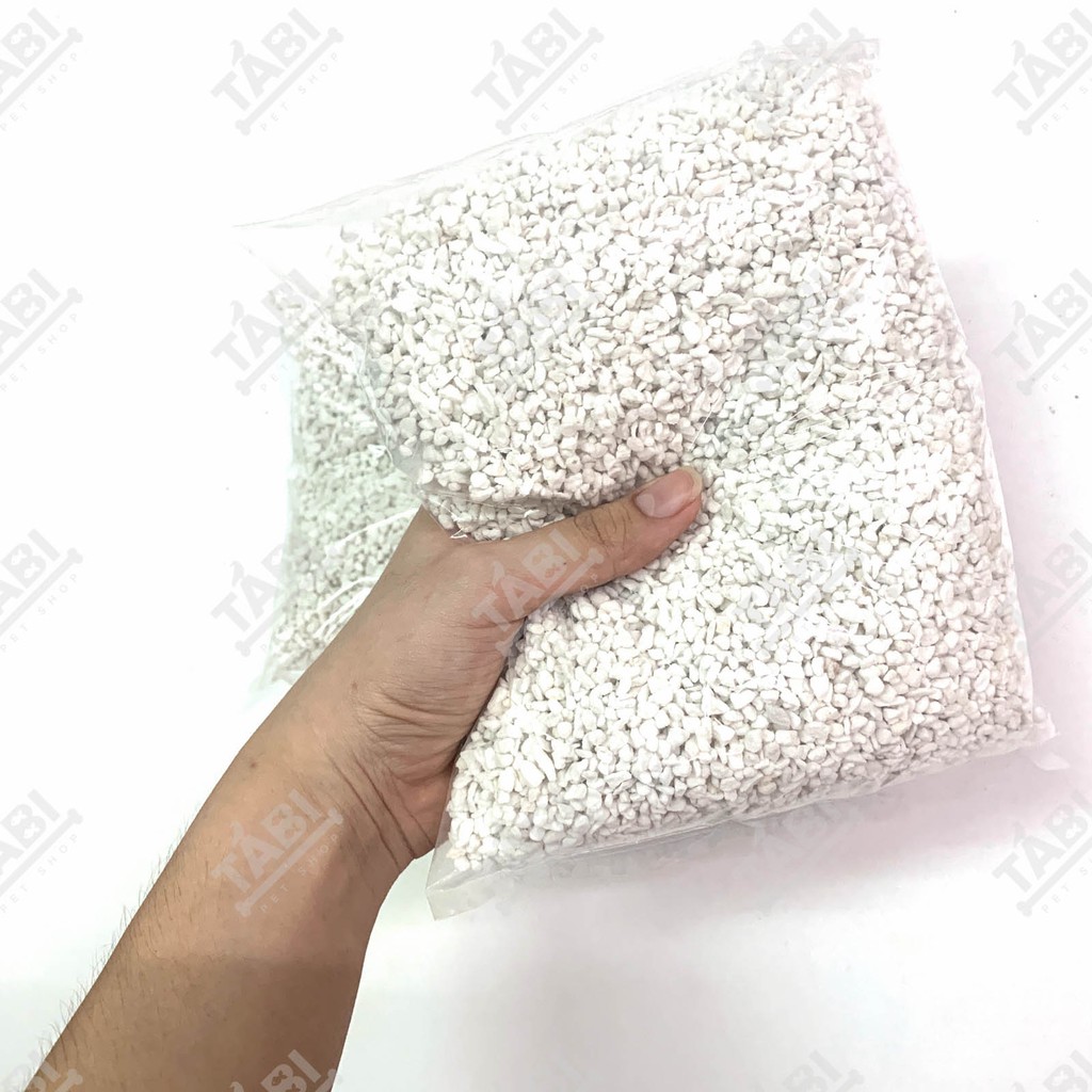 1KG Đá PERLITE - Đá Trân Châu Làm Giá Thể Trồng Cây Sen Đá, Xương Rồng,...