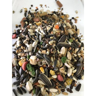 Hạt trộn vẹt lớn đóng gói 500g, 1kg