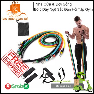 Bộ 5 dây ngũ sắc đàn hồi tập gym tại nhà, bộ dụng cụ tập body hoàn hảo