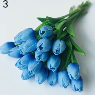 hoa chưng tết