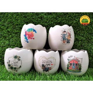Chậu men trứng trồng cây cảnh, sen đá, xương rồng, lithops | Chậu trứng 8 cm x 8 cm