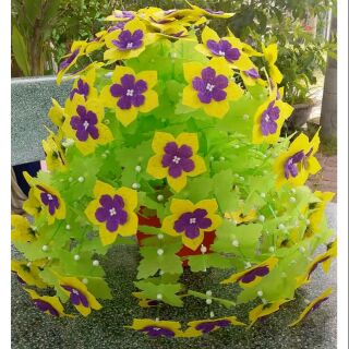 Hoa gấm cánh nhọn