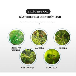 Viên Sủi CO2 60 viên