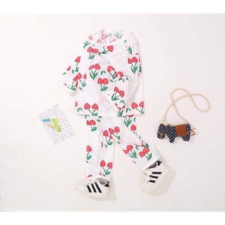 Combo sỉ 1 lố bộ cho bé giá 1800k