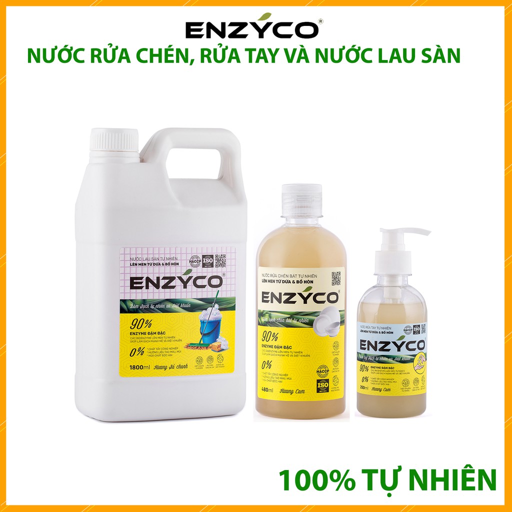 Combo Nước RỬa Tay, Nước Lau Sàn Và Nước Rửa Chén Hữu Cơ 100% Tự Nhiên Từ Dứa Và Bồ Hòn 손 세정제 Dishwashing liquid