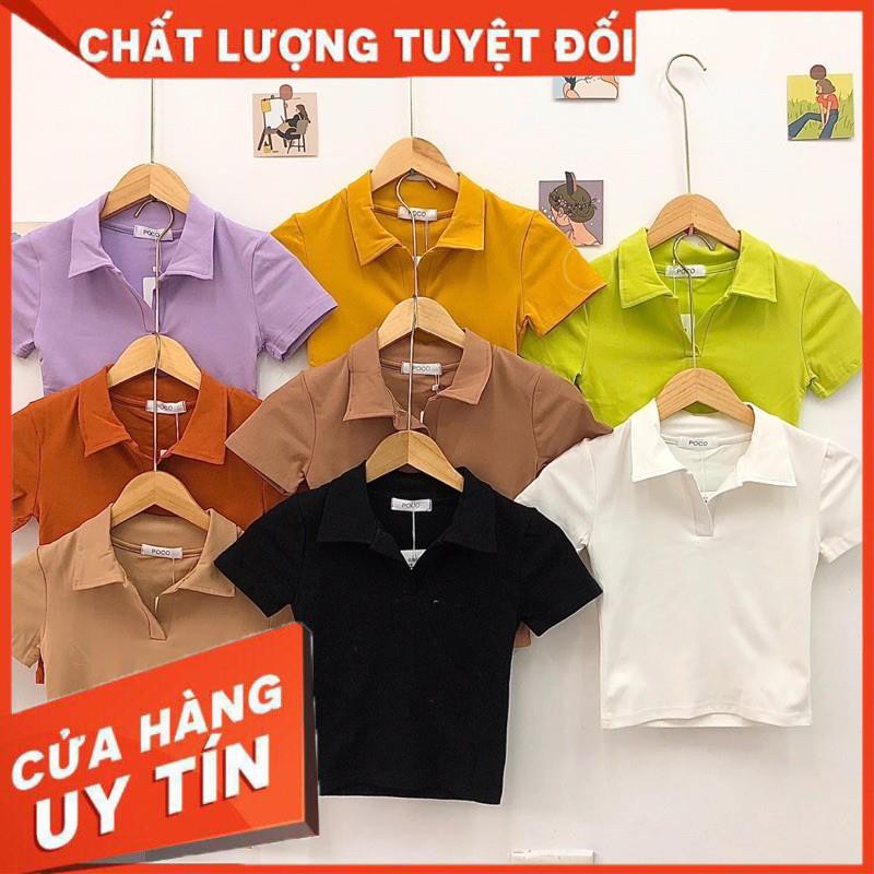 ÁO CROP CỔ BẺ TAY NGẮN VẢI SIÊU DÀY ĐẸP- ảnh thật toàn bộ