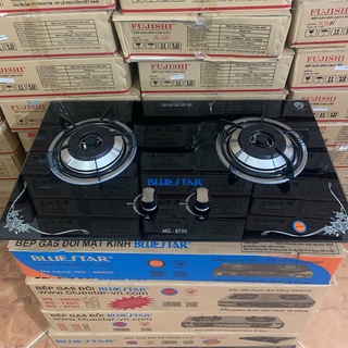 Bếp gas âm BLUESTAR NG-6710