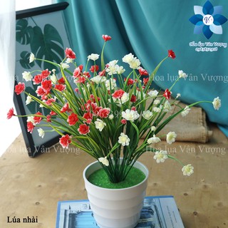 Hoa Giả Trang Trí 🌺FREESHIP🌺