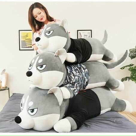 Chó Husky Bông Size 90cm 1m2 Cao Cấp, Gấu Bông Husky Mặt Ngáo Siêu Ngầu